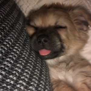 Meet your Posher, Margy